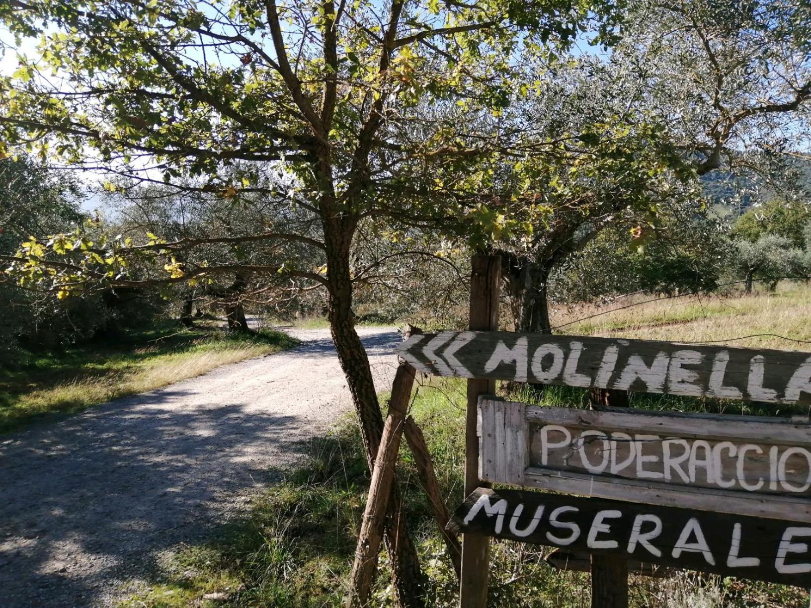 Вилла I Casali Di Colle San Paolo Tavernelle  Экстерьер фото